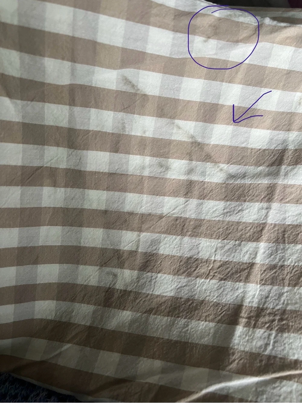 Coyuchi Organic Cotton Gingham Print Duvet Cover